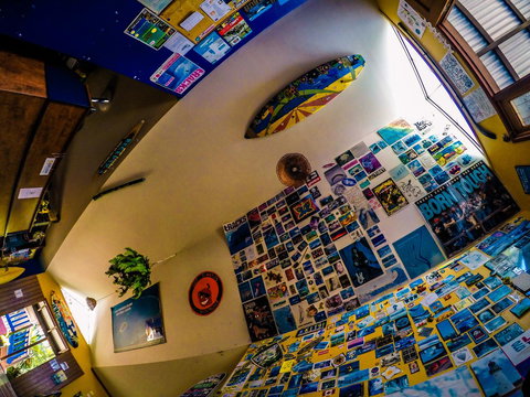 Cool Bananas Backpackers - Whitsundays Accommodation 29