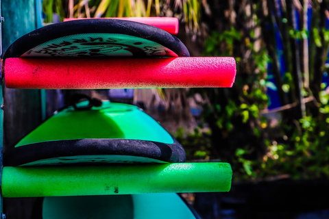 Cool Bananas Backpackers - Whitsundays Accommodation 39