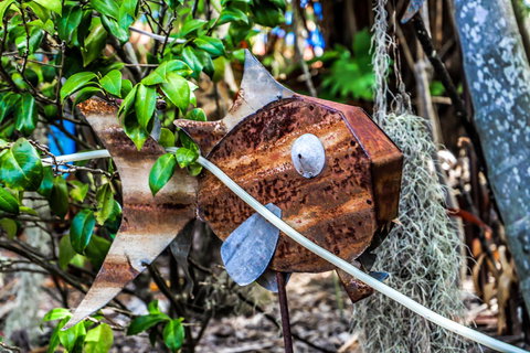 Cool Bananas Backpackers - Whitsundays Accommodation 24