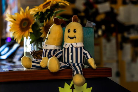 Cool Bananas Backpackers - Whitsundays Accommodation 30