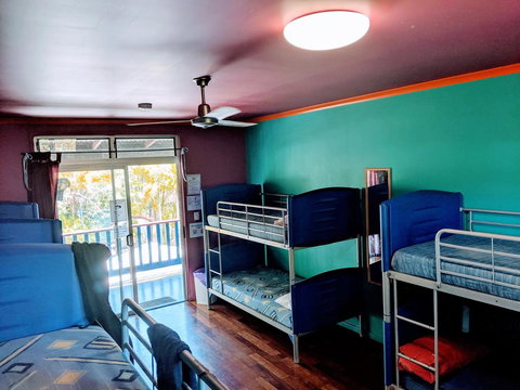 Cool Bananas Backpackers - Whitsundays Accommodation 5