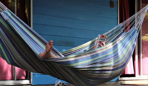 Cool Bananas Backpackers - Whitsundays Accommodation 3