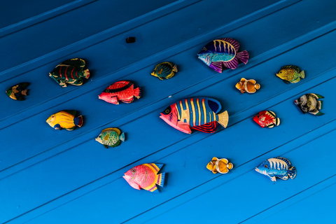 Cool Bananas Backpackers - Whitsundays Accommodation 20