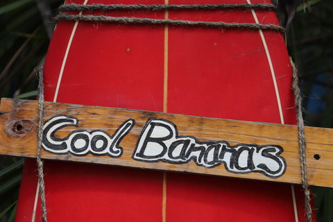 Cool Bananas Backpackers - Whitsundays Accommodation 41