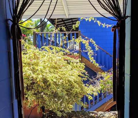 Cool Bananas Backpackers - Whitsundays Accommodation 10