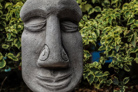 Cool Bananas Backpackers - Whitsundays Accommodation 23