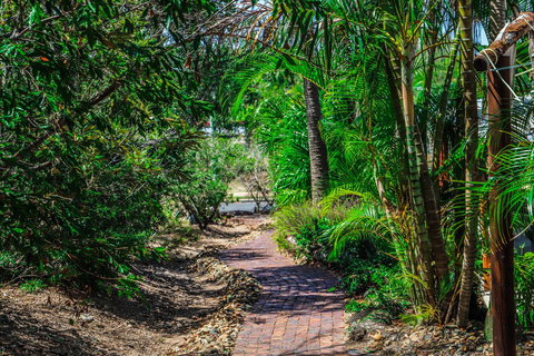 Cool Bananas Backpackers - Whitsundays Accommodation 15