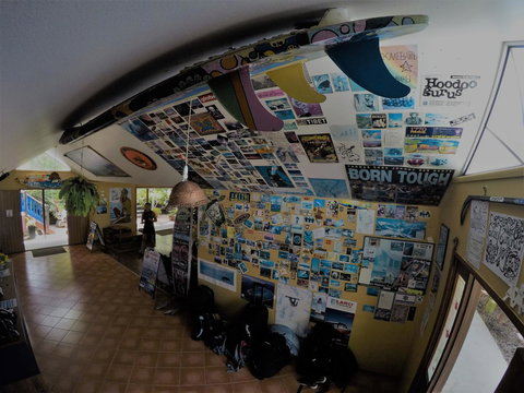 Cool Bananas Backpackers - Whitsundays Accommodation 31