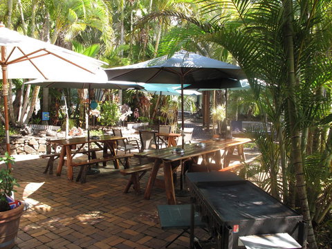 Cool Bananas Backpackers - Whitsundays Accommodation 16