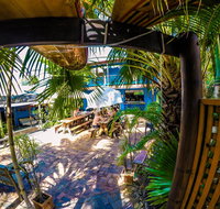Cool Bananas Backpackers - Whitsundays Accommodation