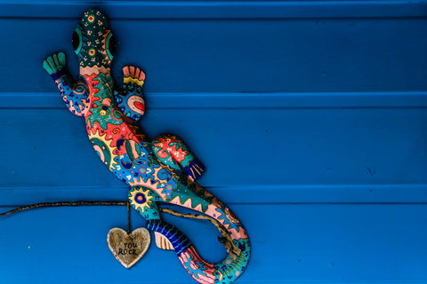 Cool Bananas Backpackers - Whitsundays Accommodation 21