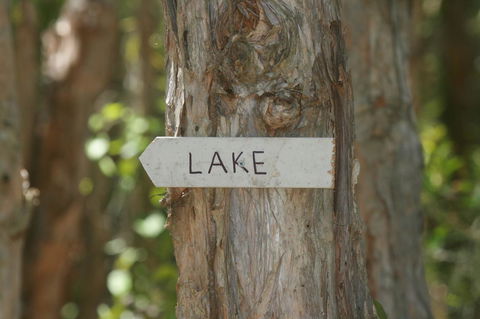 Lake Weyba Noosa Lodge & Kangaroos - Whitsundays Accommodation 36