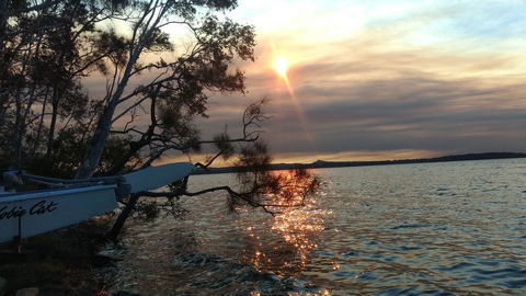 Lake Weyba Noosa Lodge & Kangaroos - Whitsundays Accommodation 40