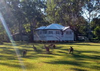 Book Peregian Beach Accommodation Vacations Whitsundays Accommodation Whitsundays Accommodation