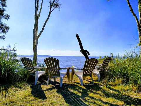 Lake Weyba Noosa Lodge & Kangaroos - Whitsundays Accommodation 44