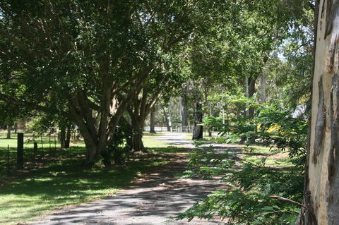 Lake Weyba Noosa Lodge & Kangaroos - Whitsundays Accommodation 34