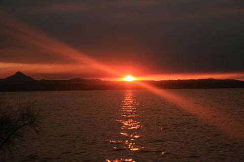 Lake Weyba Noosa Lodge & Kangaroos - Whitsundays Accommodation 41