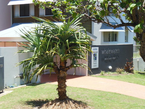 Whale Watch Ocean Beach Resort - Whitsundays Accommodation 15