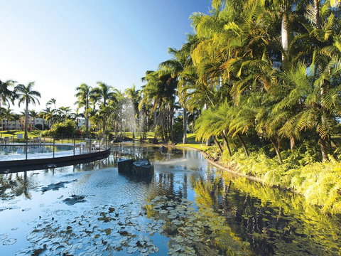 Oaks Sunshine Coast Oasis Resort - Whitsundays Accommodation 13
