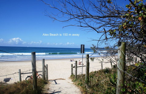 Alex Beach Cabins And Tourist Park - Whitsundays Accommodation 16