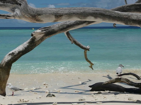Beach Club Port Douglas Luxury Apartments - Whitsundays Accommodation 23