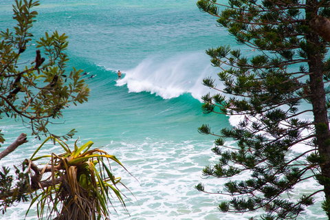 Rainbow Bay Backpackers - Whitsundays Accommodation 15