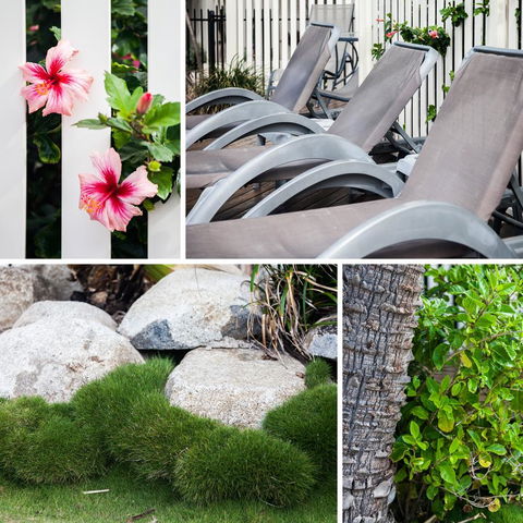 Coolum Caprice - Whitsundays Accommodation 22