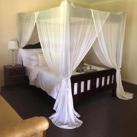 The Bearded Dragon Boutique Hotel - Whitsundays Accommodation 1