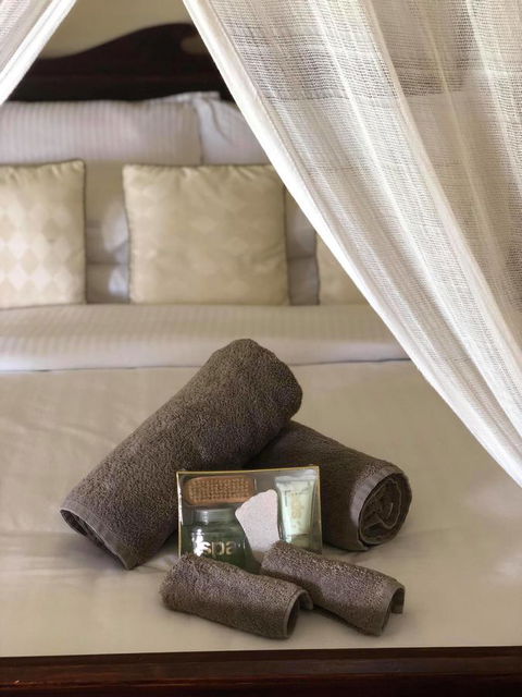 The Bearded Dragon Boutique Hotel - Whitsundays Accommodation 4