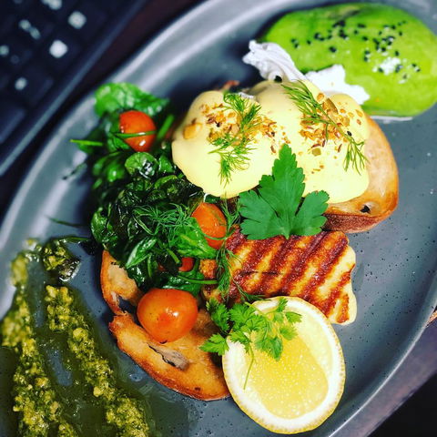 The Bearded Dragon Boutique Hotel - Whitsundays Accommodation 15