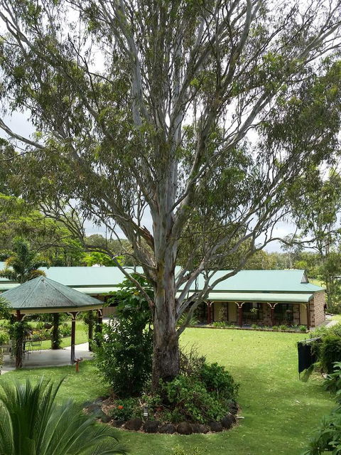 The Bearded Dragon Boutique Hotel - Whitsundays Accommodation 32