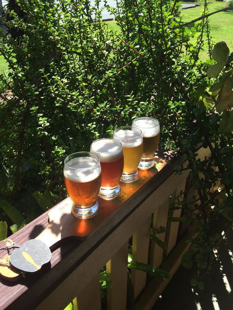 The Bearded Dragon Boutique Hotel - Whitsundays Accommodation 31