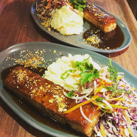 The Bearded Dragon Boutique Hotel - Whitsundays Accommodation 16