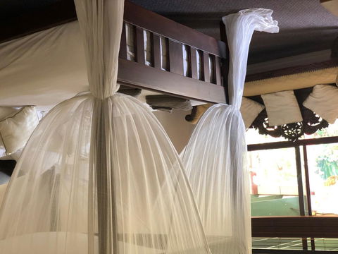 The Bearded Dragon Boutique Hotel - Whitsundays Accommodation 2