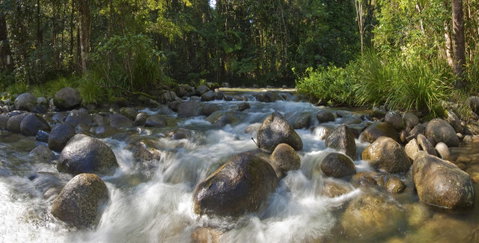 Silky Oaks Lodge - Whitsundays Accommodation 20