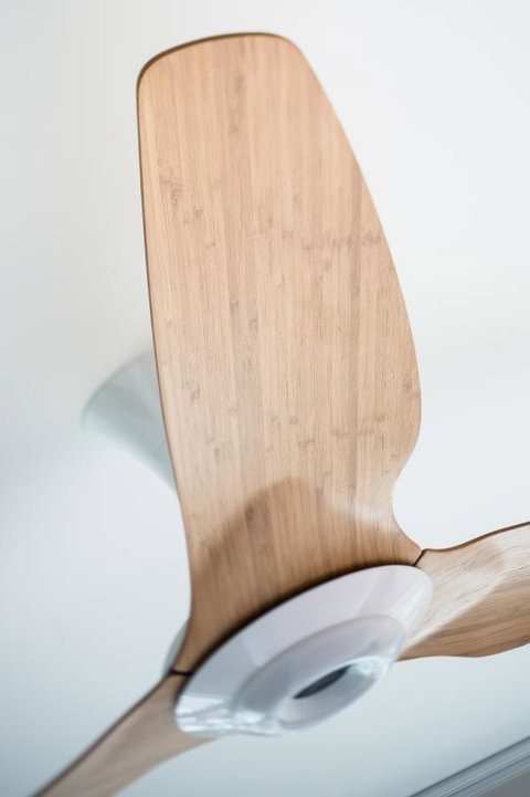 Heart Hotel And Gallery Whitsundays - Whitsundays Accommodation 25