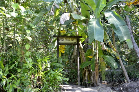 PK\'s Jungle Village - Whitsundays Accommodation 23