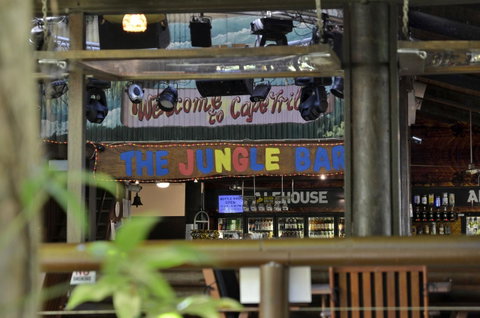 PK\'s Jungle Village - Whitsundays Accommodation 20