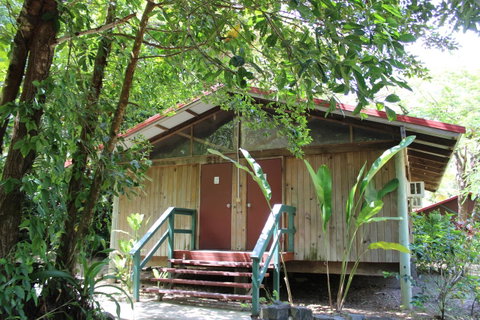 PK\'s Jungle Village - Whitsundays Accommodation 6