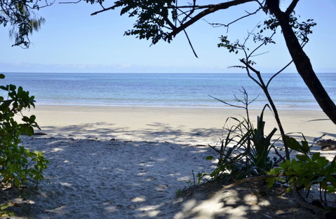 PK\'s Jungle Village - Whitsundays Accommodation 26