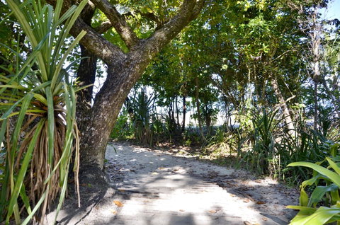 PK\'s Jungle Village - Whitsundays Accommodation 28
