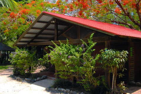 PK\'s Jungle Village - Whitsundays Accommodation 10
