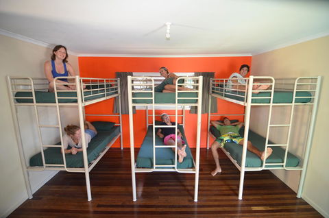 Backpackers In Paradise 18-35 Hostel - Whitsundays Accommodation 21