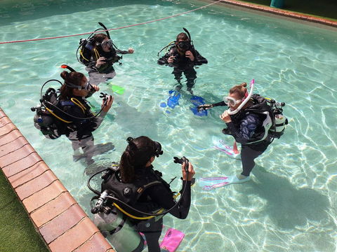 Backpackers In Paradise 18-35 Hostel - Whitsundays Accommodation 18
