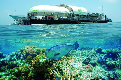 The Sebel Whitsundays - Whitsundays Accommodation 9