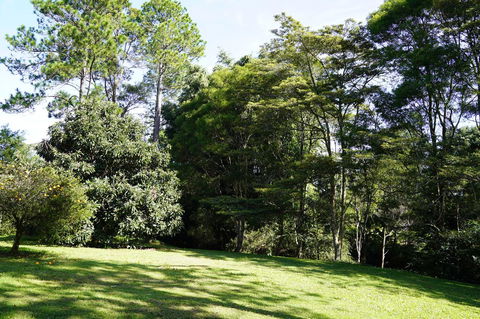 McCarthy Grove Maleny - Whitsundays Accommodation 2