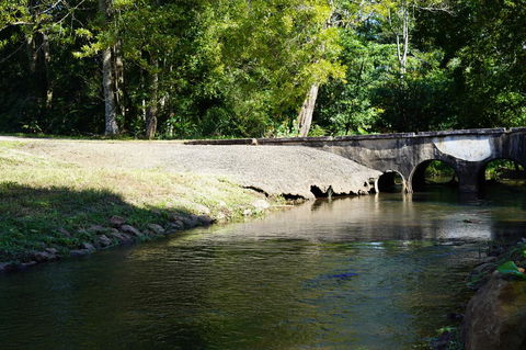 McCarthy Grove Maleny - Whitsundays Accommodation 1