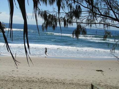 Le Beach Apartments - Whitsundays Accommodation 16