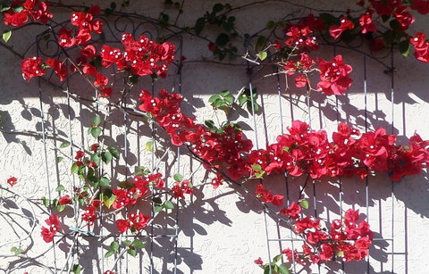 Gaia On Bribie Island - Whitsundays Accommodation 35