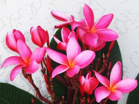 Gaia On Bribie Island - Whitsundays Accommodation 31